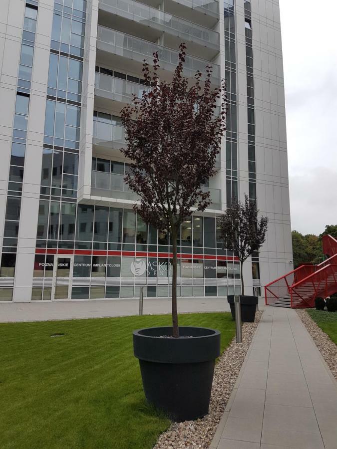 Apartament Towarowa 37 Poznan Ngoại thất bức ảnh